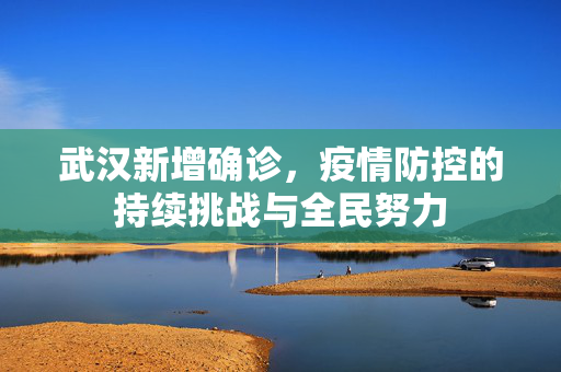 武汉新增确诊，疫情防控的持续挑战与全民努力