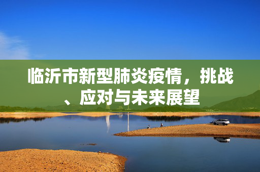 临沂市新型肺炎疫情，挑战、应对与未来展望