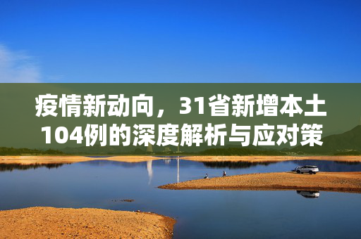 疫情新动向，31省新增本土104例的深度解析与应对策略
