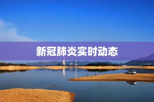 新冠肺炎实时动态