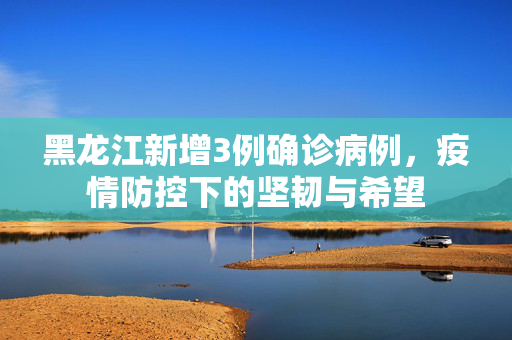 黑龙江新增3例确诊病例，疫情防控下的坚韧与希望