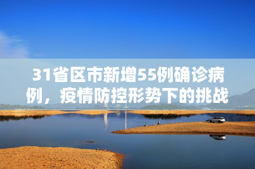 31省区市新增55例确诊病例，疫情防控形势下的挑战与应对