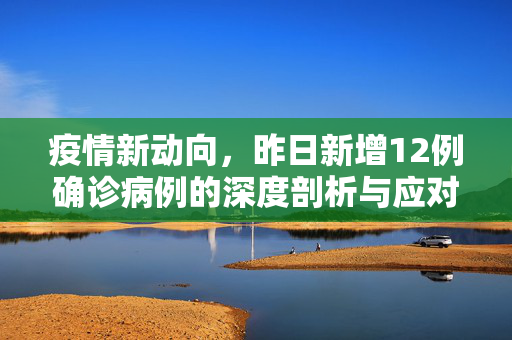 疫情新动向，昨日新增12例确诊病例的深度剖析与应对策略