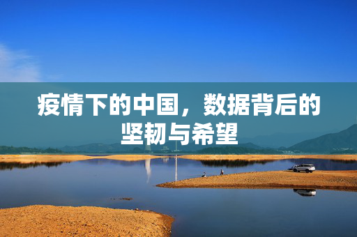 疫情下的中国，数据背后的坚韧与希望