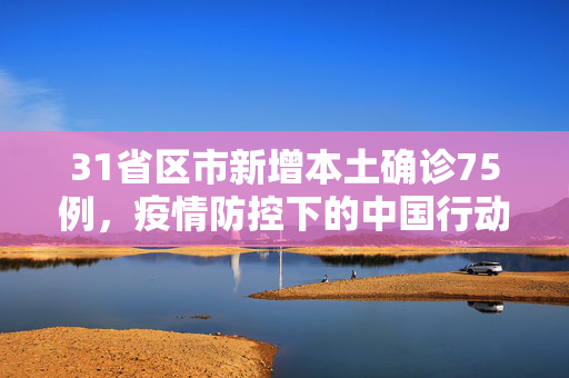 31省区市新增本土确诊75例，疫情防控下的中国行动与全民共责