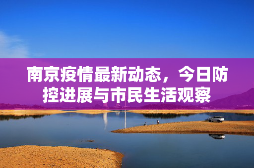 南京疫情最新动态，今日防控进展与市民生活观察
