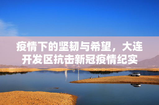 疫情下的坚韧与希望，大连开发区抗击新冠疫情纪实