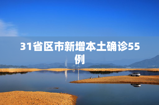 31省区市新增本土确诊55例
