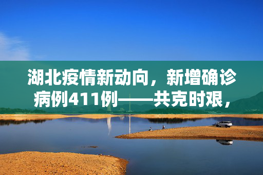 湖北疫情新动向，新增确诊病例411例——共克时艰，守护荆楚安全