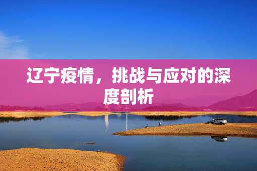 辽宁疫情，挑战与应对的深度剖析