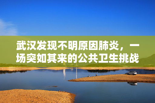 武汉发现不明原因肺炎，一场突如其来的公共卫生挑战