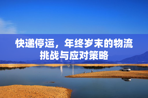 快递停运，年终岁末的物流挑战与应对策略