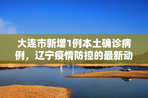 大连市新增1例本土确诊病例，辽宁疫情防控的最新动态与应对措施