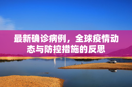 最新确诊病例，全球疫情动态与防控措施的反思