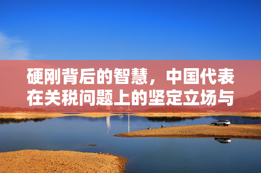 硬刚背后的智慧，中国代表在关税问题上的坚定立场与外交智慧