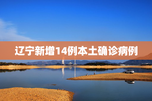 辽宁新增14例本土确诊病例