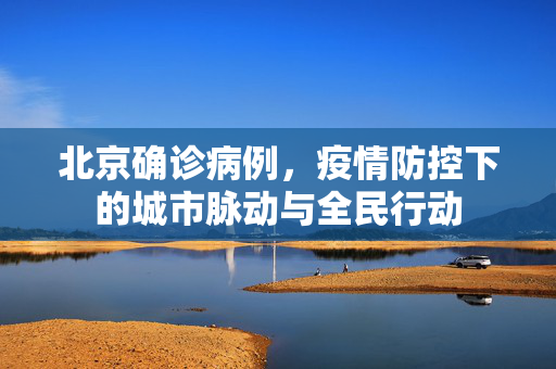 北京确诊病例，疫情防控下的城市脉动与全民行动