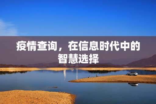 疫情查询，在信息时代中的智慧选择