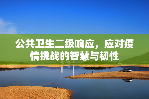公共卫生二级响应，应对疫情挑战的智慧与韧性