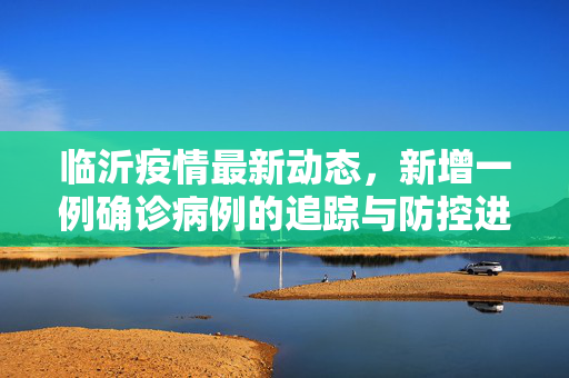 临沂疫情最新动态，新增一例确诊病例的追踪与防控进展