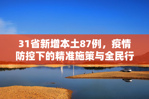 31省新增本土87例，疫情防控下的精准施策与全民行动