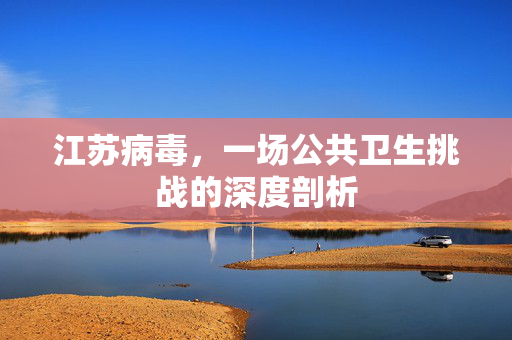 江苏病毒，一场公共卫生挑战的深度剖析