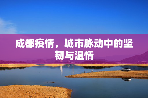 成都疫情，城市脉动中的坚韧与温情