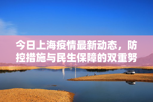 今日上海疫情最新动态，防控措施与民生保障的双重努力