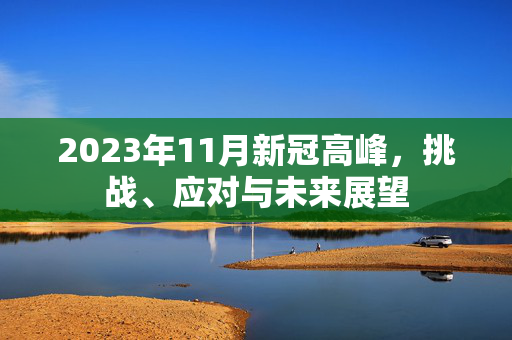2023年11月新冠高峰，挑战、应对与未来展望