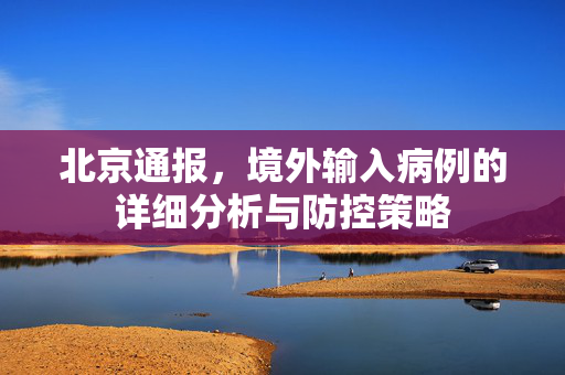 北京通报，境外输入病例的详细分析与防控策略