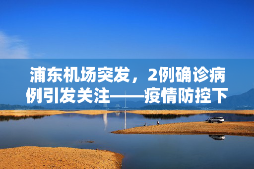 浦东机场突发，2例确诊病例引发关注——疫情防控下的国际交通枢纽挑战与应对