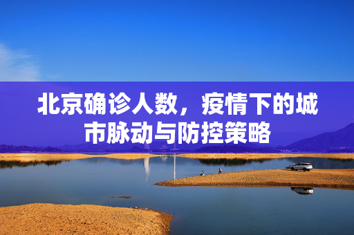 北京确诊人数，疫情下的城市脉动与防控策略