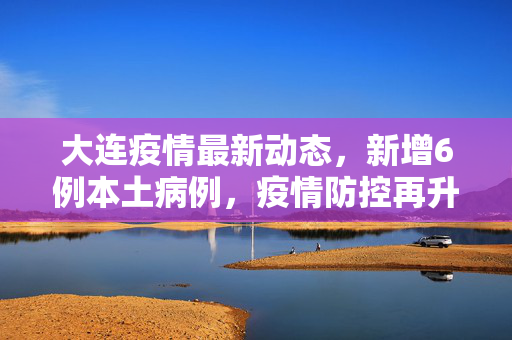 大连疫情最新动态，新增6例本土病例，疫情防控再升级