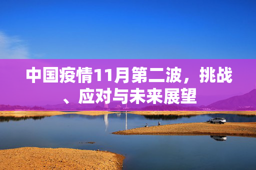 中国疫情11月第二波，挑战、应对与未来展望
