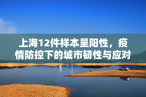 上海12件样本呈阳性，疫情防控下的城市韧性与应对策略