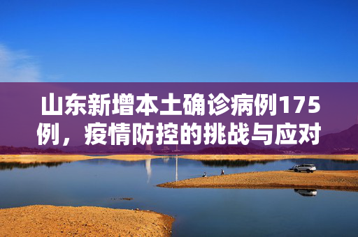 山东新增本土确诊病例175例，疫情防控的挑战与应对策略