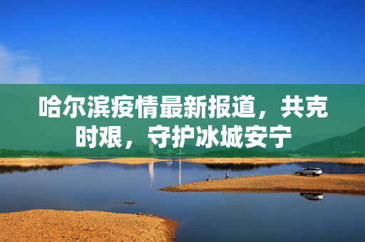 哈尔滨疫情最新报道，共克时艰，守护冰城安宁