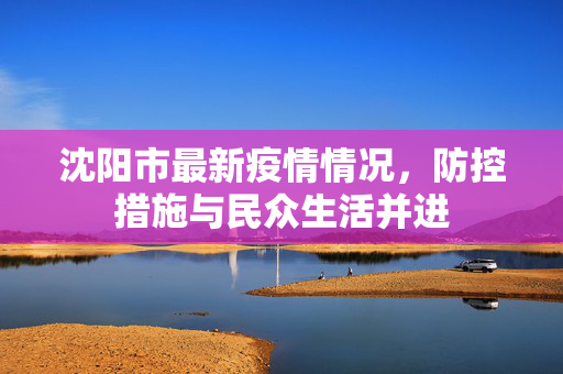沈阳市最新疫情情况，防控措施与民众生活并进