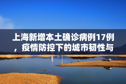 上海新增本土确诊病例17例，疫情防控下的城市韧性与应对策略