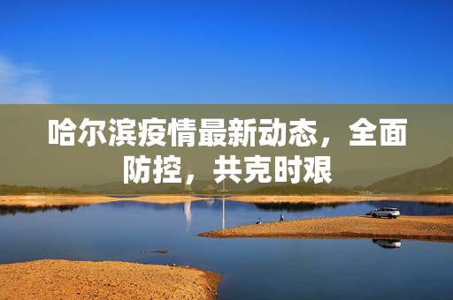 哈尔滨疫情最新动态，全面防控，共克时艰