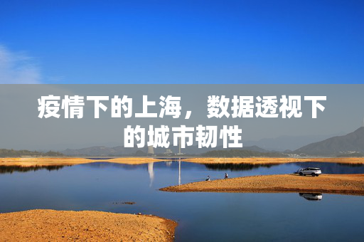 疫情下的上海，数据透视下的城市韧性