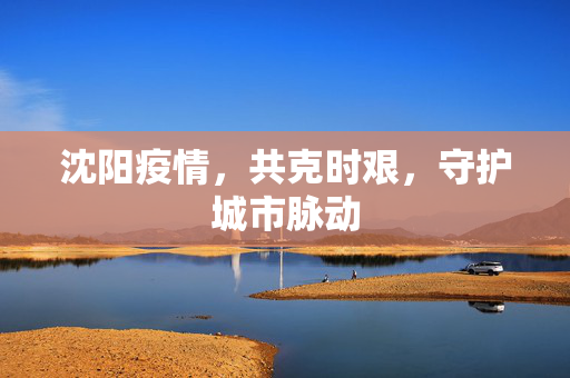 沈阳疫情，共克时艰，守护城市脉动