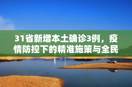 31省新增本土确诊3例，疫情防控下的精准施策与全民行动