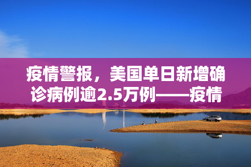 疫情警报，美国单日新增确诊病例逾2.5万例——疫情反弹的严峻挑战与应对策略