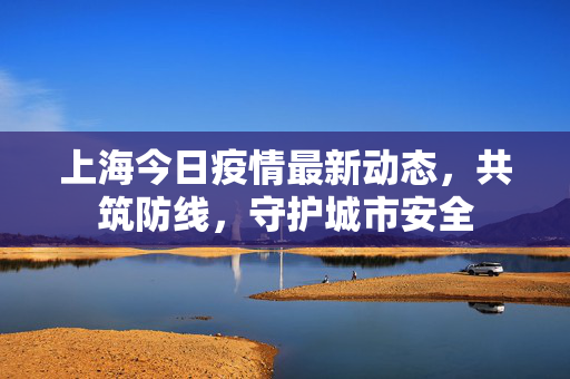 上海今日疫情最新动态，共筑防线，守护城市安全