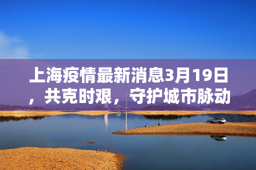 上海疫情最新消息3月19日，共克时艰，守护城市脉动