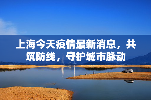上海今天疫情最新消息，共筑防线，守护城市脉动