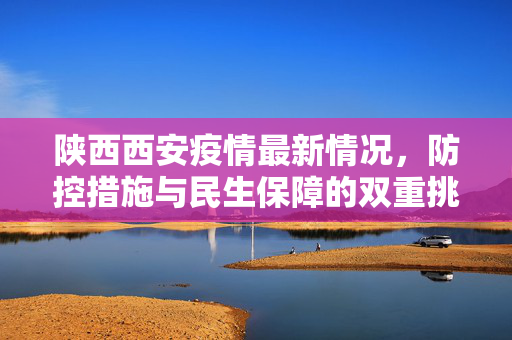 陕西西安疫情最新情况，防控措施与民生保障的双重挑战