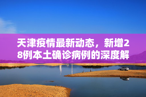 天津疫情最新动态，新增28例本土确诊病例的深度解析与应对策略