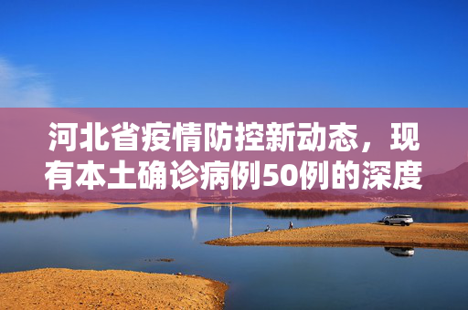 河北省疫情防控新动态，现有本土确诊病例50例的深度解析与应对策略